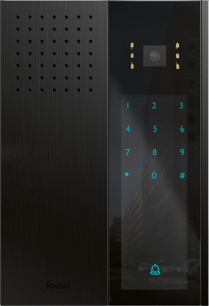 Wizard Elegance IP black  with keypad and color cam.